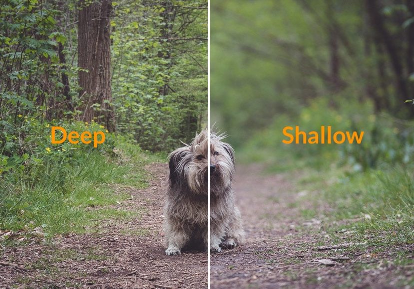 guide-to-depth-of-field
