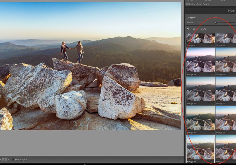 A photo of a couple standing on a rock in lightroom.