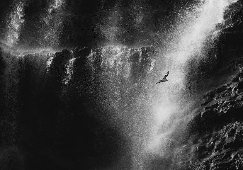 A black and white photo of a bird flying over a waterfall.