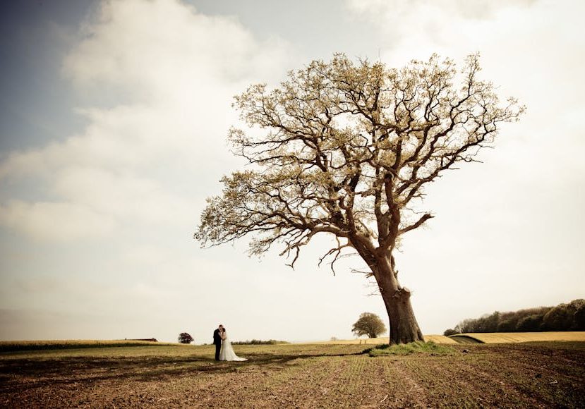 A couple embracing under a large tree in an open field.