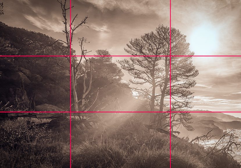 rule of thirds tips