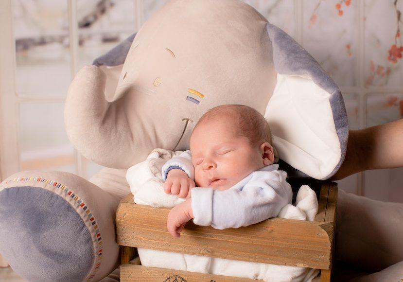 a baby sleeping in a wooden crate next to a stuffed elephant.