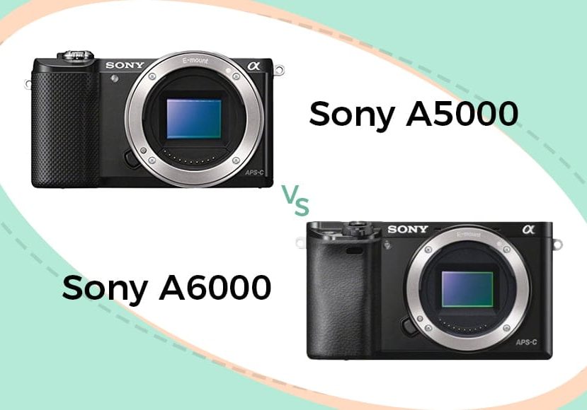 sony a5000 vs a6000 comparison