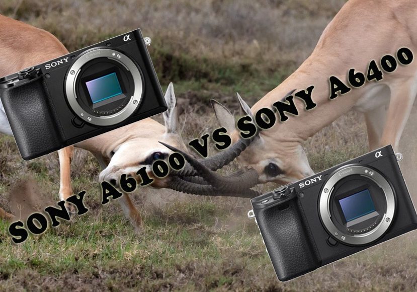 The Sony a6100 vs the Sony 6400