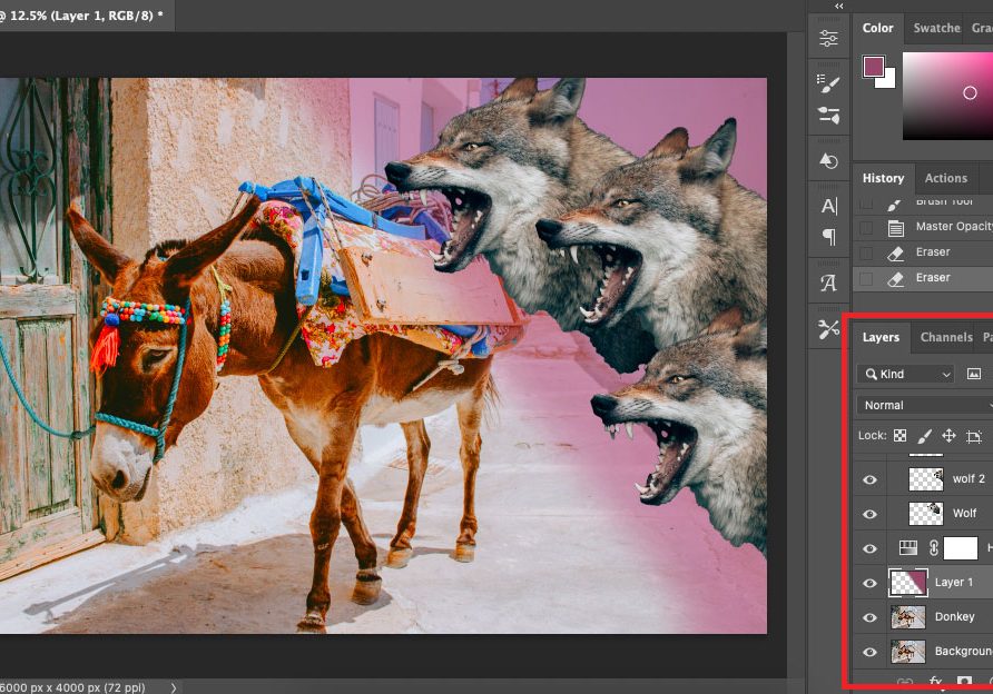 A photo of a donkey and a wolf in adobe photoshop.